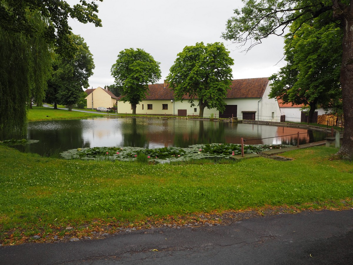 rybník na návsi