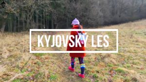Přečtete si více ze článku Plzeň známá neznámá: Kyjovský les